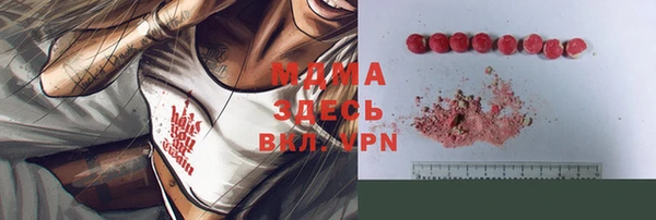 индика Козловка