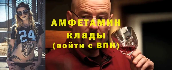 индика Козловка
