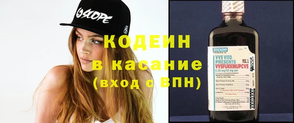 индика Козловка