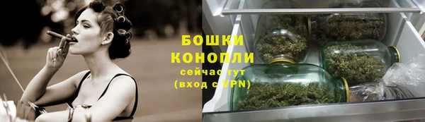 ешки Козельск