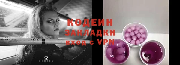 шишки Корсаков