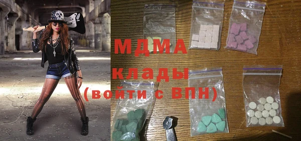 индика Козловка