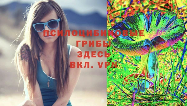 индика Козловка