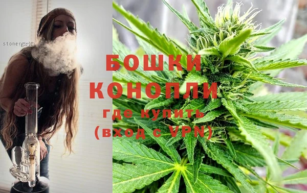 индика Козловка