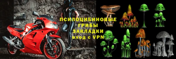 индика Козловка