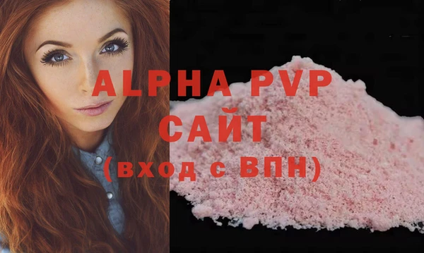 индика Козловка