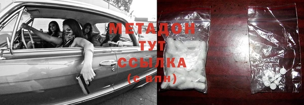 индика Козловка