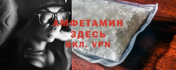 индика Козловка