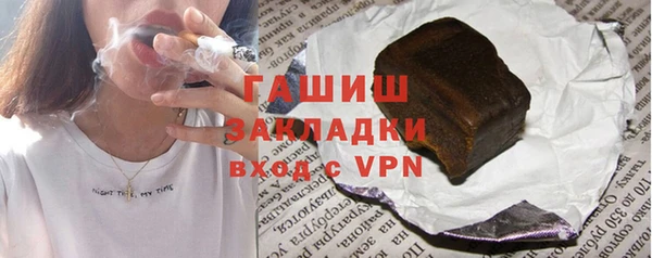 индика Козловка