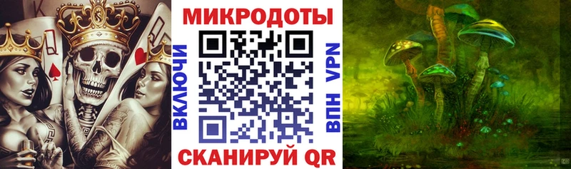 Галлюциногенные грибы Cubensis Бирск